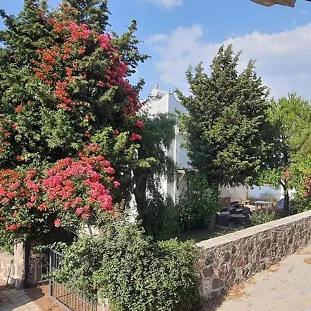 Gundogan Full Sea View With Garden Triplex فندق